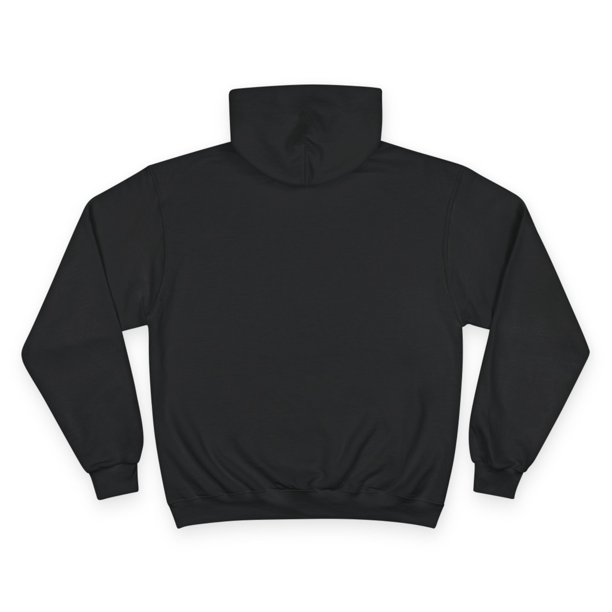 Snacks and Tin Foil Hats Logo - Champion Hoodie