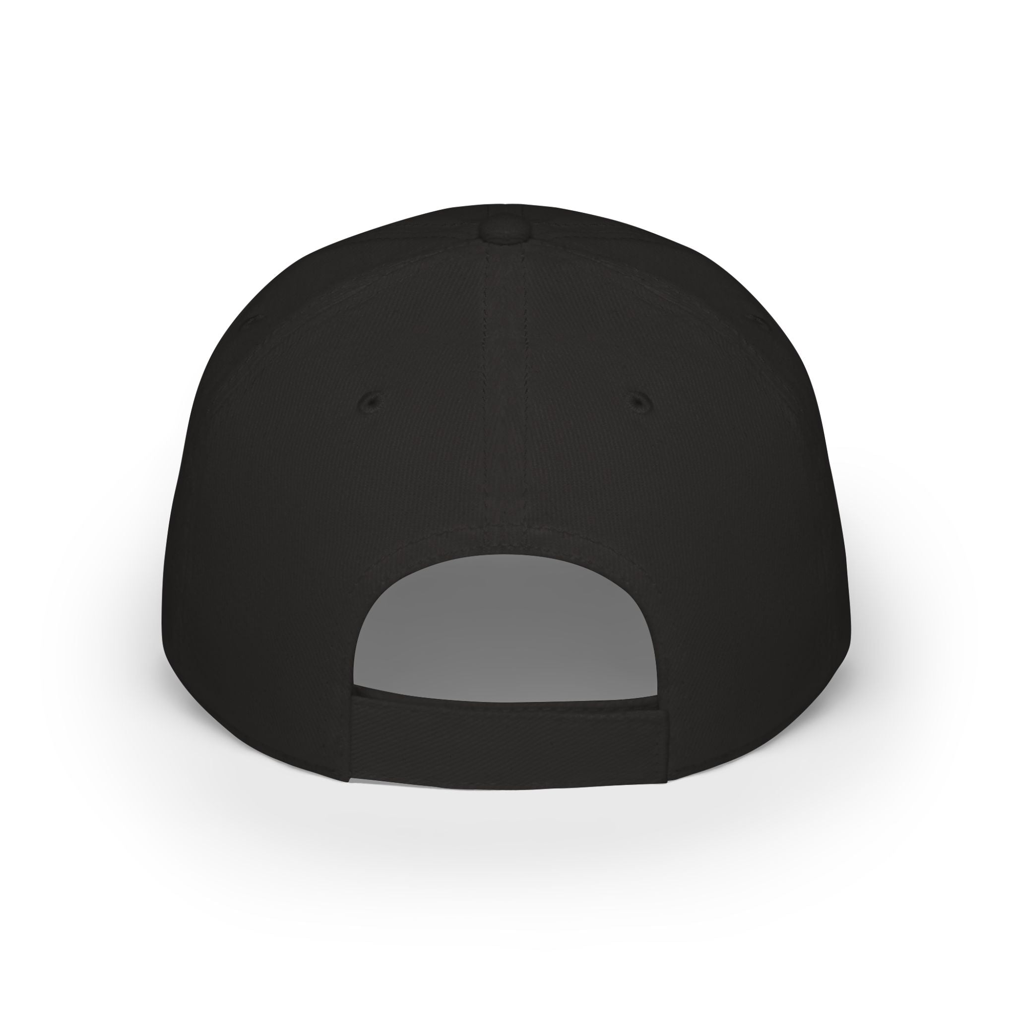 Snacks and Tin Foil Hats - Low Profile Baseball Cap