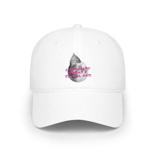 Snacks and Tin Foil Hats - Low Profile Baseball Cap