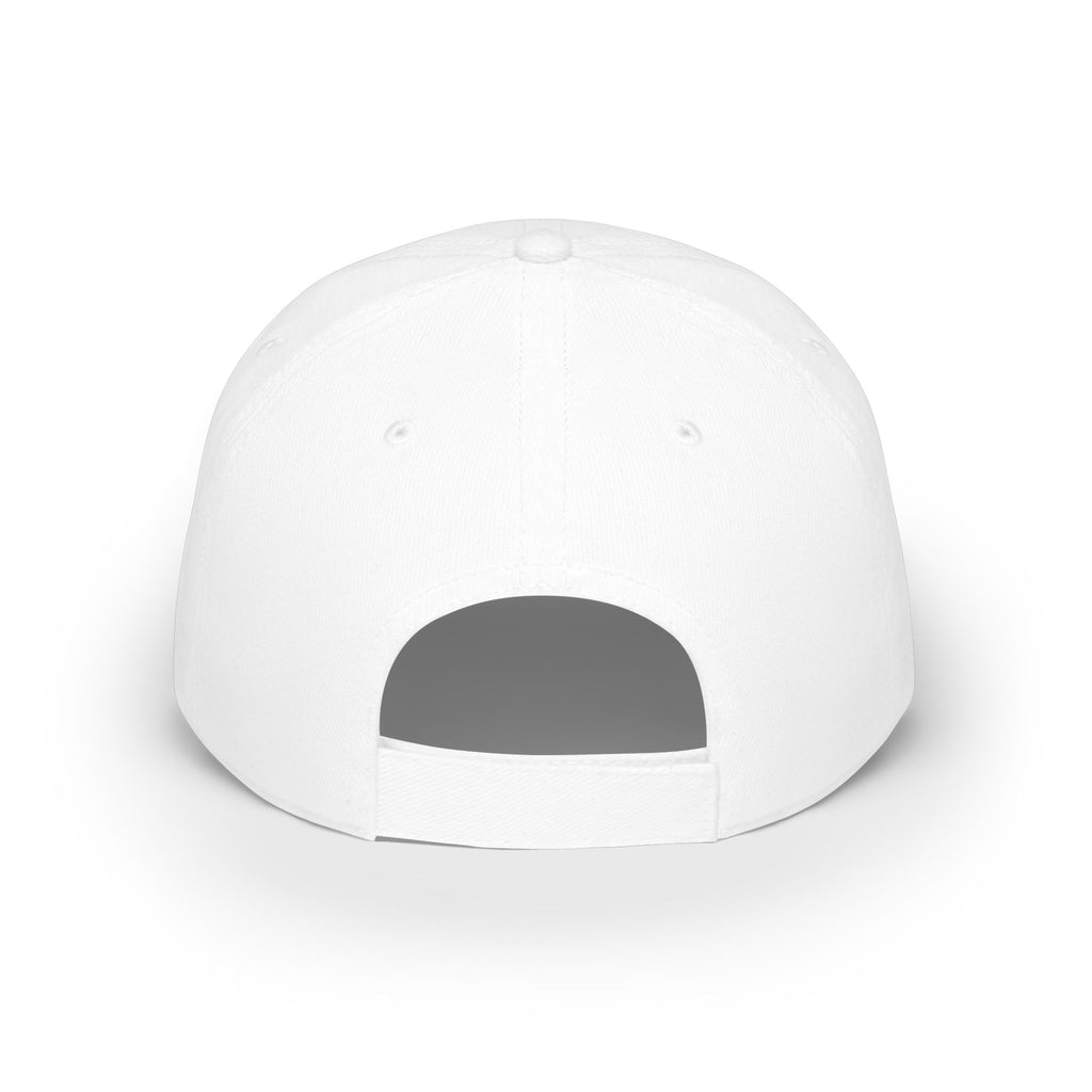 Snacks and Tin Foil Hats - Low Profile Baseball Cap